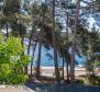 Apart-house with swimming pool and 6 apartments on the first line to the sea on Mali Losinj - pic 8