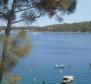 Appartement avec piscine et 6 appartements en première ligne de mer à Mali Losinj - pic 11