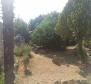 Stone house with garden for sale in Banjole just 200 meters from the beach!  - pic 39