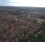 Land for sale in Mrgani, Kanfanar over 2 ha, close to Limska Draga - pic 3