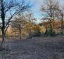 Land with panoramic views in Vižinada, 5.261m2 - pic 3