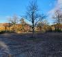 Land with panoramic views in Vižinada, 5.261m2 - pic 5