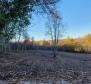 Land with panoramic views in Vižinada, 5.261m2 - pic 9