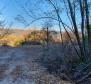 Land with panoramic views in Vižinada, 5.261m2 - pic 15