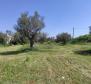 House in Fažana on a large terrain of 3561 sq.m. cca. 2 km from the sea - pic 9