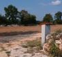 Unique land for sale in Putini, Kanfanar - combination of agro and urban, 14161 sq.m. - pic 3