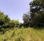 Adrionika offers great land in Peruški, Marčana - 0,5 ha - pic 5