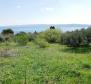 Rare terrain for sale in Brela with sea views, just 240 meters from the sea - pic 3