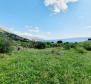Rare terrain for sale in Brela with sea views, just 240 meters from the sea - pic 4