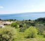 Rare terrain for sale in Brela with sea views, just 240 meters from the sea - pic 8