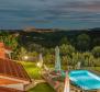 Romantic villa with a distant view of the old town Labin 