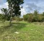 Estate of 9300 sq.m. with two houses for renovation in Svetvinčenat - pic 10