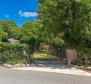 Old stone house on a large land plot, Krk - pic 10