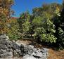 Ancienne maison en pierre sur un grand terrain, Krk - pic 42