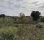 Land plot for sale in Banjole, 2.020m2, just 70 meters from the sea - pic 11