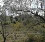 Land plot for sale in Banjole, 2.020m2, just 70 meters from the sea - pic 14