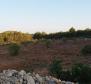 Agro land of more than 1,5 hectares in Vodice area, great potential - pic 2