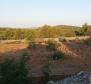 Zemědělská půda o rozloze více než 1,5 hektaru v oblasti Vodice, velký potenciál - pic 4