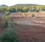 Zemědělská půda o rozloze více než 1,5 hektaru v oblasti Vodice, velký potenciál - pic 8