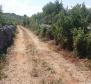 Agro land of more than 1,5 hectares in Vodice area, great potential - pic 9