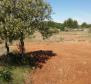 Agro land of more than 1,5 hectares in Vodice area, great potential - pic 10