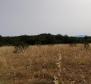 Agroland von mehr als 1,5 Hektar in der Region Vodice, großes Potenzial - foto 13