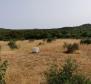 Terrain agricole de plus de 1,5 hectares dans la région de Vodice, grand potentiel - pic 14