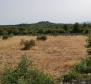 Agroland von mehr als 1,5 Hektar in der Region Vodice, großes Potenzial - foto 15
