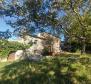 Stone house in Labin area with land plot of 3956 sq.m. 