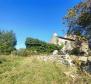 Stone house in Labin area with land plot of 3956 sq.m. - pic 3