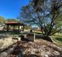 Gorgeous estate in Labin area on 20973 sq.m. of land - pic 17