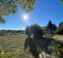 Gorgeous estate in Labin area on 20973 sq.m. of land - pic 20