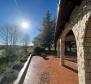 Gorgeous estate in Labin area on 20973 sq.m. of land - pic 23