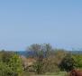 Terrain à bâtir avec un projet et vue sur la mer dans la région de Porec - pic 2