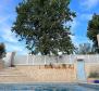 Semi-detached villa in Rovinj area with swimming pool, just 3,5 km from the sea - pic 11