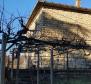 Stone house with a beautiful sea view in Groznjan - pic 18