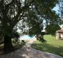 Fantastic rustic estate in Bačva, Višnjan with distant sea views - pic 8