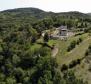 Unique complex of lands in Motovun - pic 5