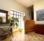 Astonishing estate in Vodnjan on 4671 sq.m. of land, just 2 km from the sea - pic 14
