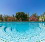 Astonishing estate in Vodnjan on 4671 sq.m. of land, just 2 km from the sea - pic 3