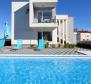 Elegant modern villa with 4 apartments for sale in Zaton - pic 2