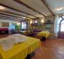 Beautiful old stone remodelled villa in Kurili, Kanfanar which offers restaurant, 7 apartments and four deluxe rooms - pic 25