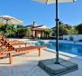 Holiday villa with swimming pool in Sukosan, DEBELJAK  
