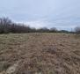 Agro land in Labin are, cca.2 hectares 