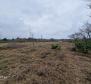 Les terres agricoles à Labin sont, cca.2 hectares - pic 2