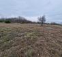 Agro land in Labin are, cca.2 hectares - pic 3