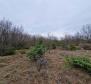 Les terres agricoles à Labin sont, cca.2 hectares - pic 4