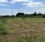 Městská půda účelu T2 v Katoro, Umag, 500 metrů od moře! - pic 4