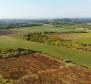 Spacious agricultural land for sale in Buje area, 83.917m2 - pic 4