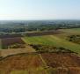 Spacious agricultural land for sale in Buje area, 83.917m2 - pic 8
